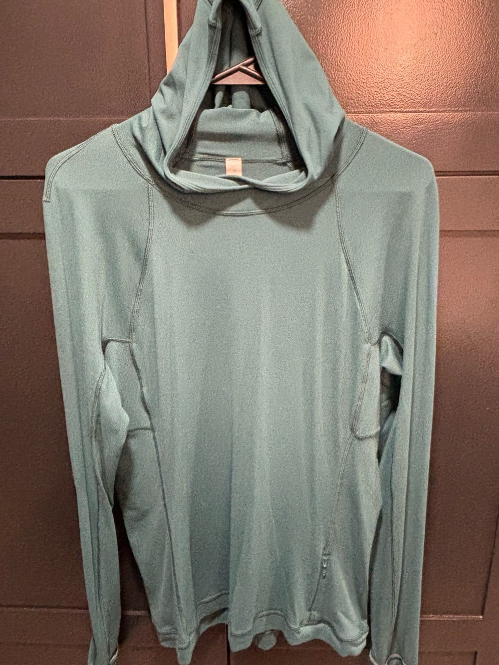 Lululemon Woman’s Hooded Performance Sweatshirt in Dusty Teal